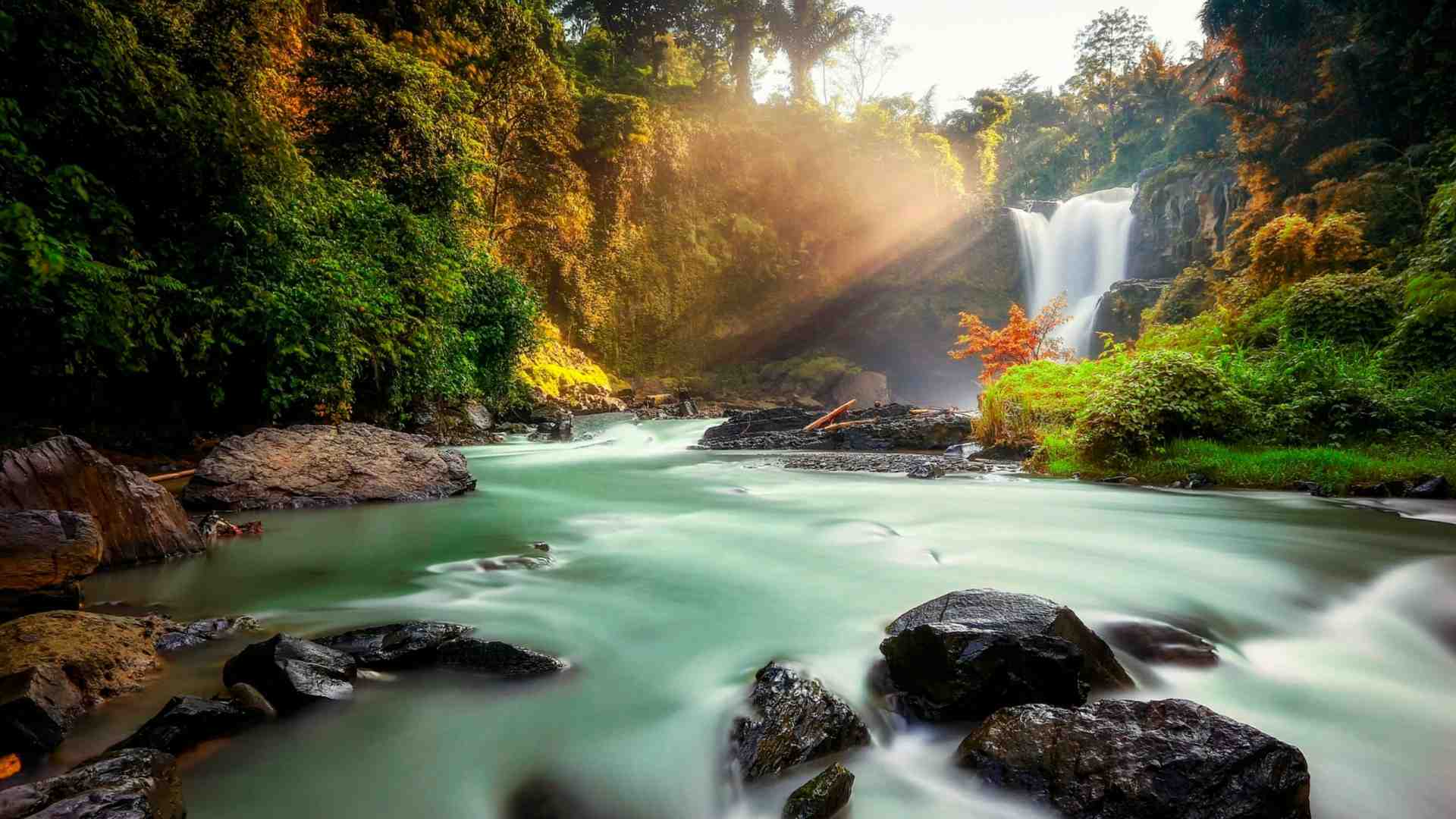 Bali Half Day Tour Package