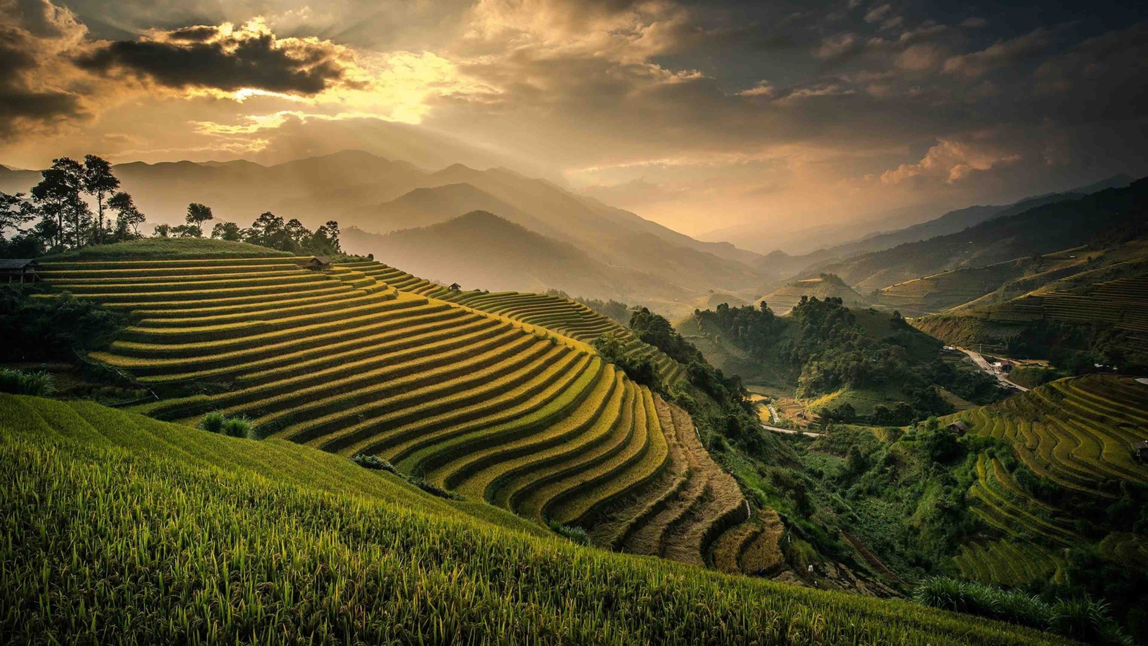 Experience Bali <br>with Authentic Private Tours