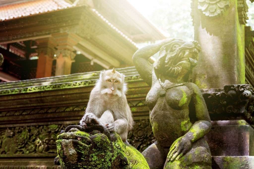 Bali Ubud Tour