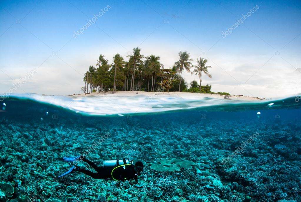 Bali Diving Tour