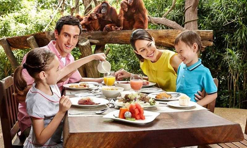 Bali Zoo Park Tour