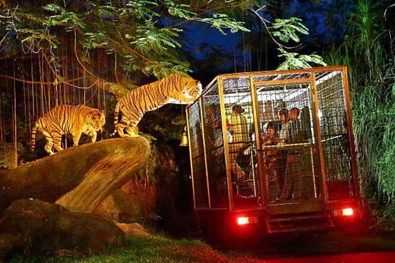 Bali Safari Marine Park Tour