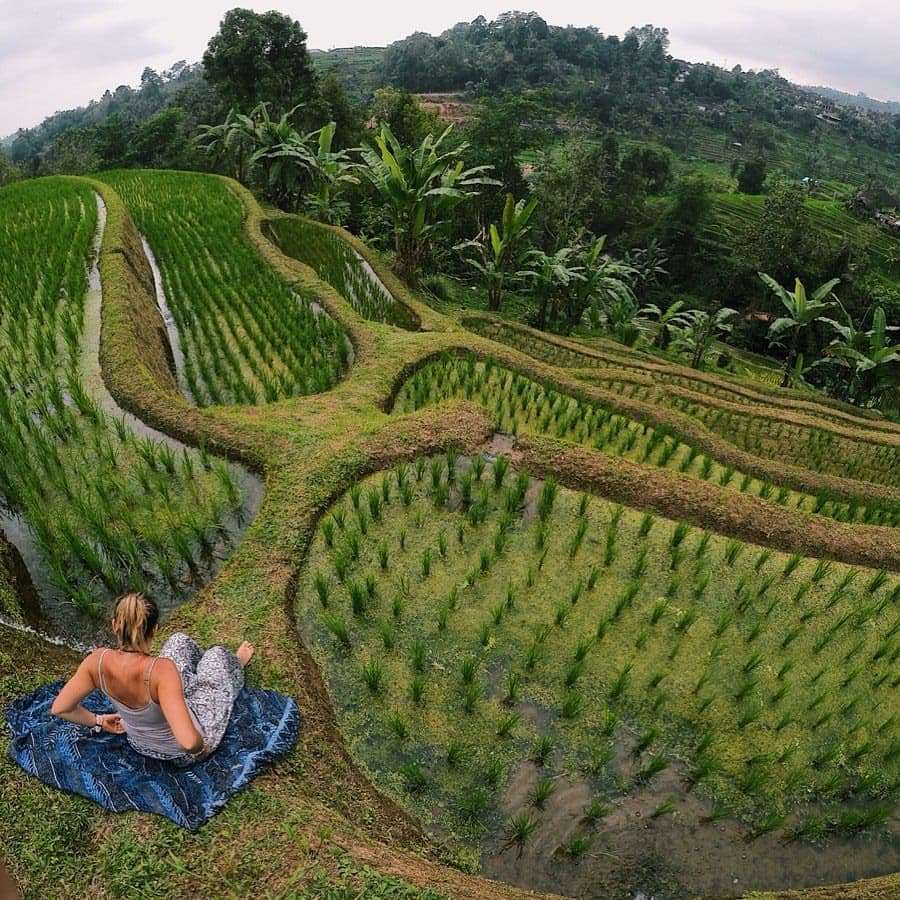 Bali Ubud Tour