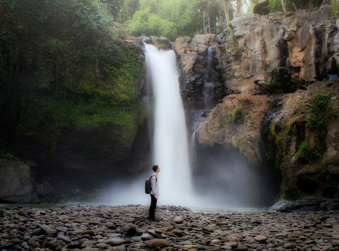 Bali Ubud Tour