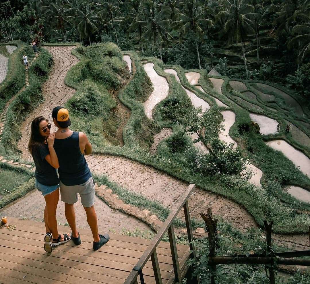 Bali Ubud Kintamani Tour