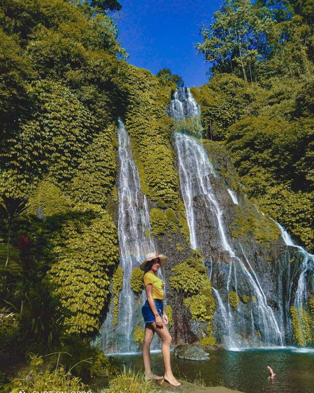 Bali Dolphin Tour