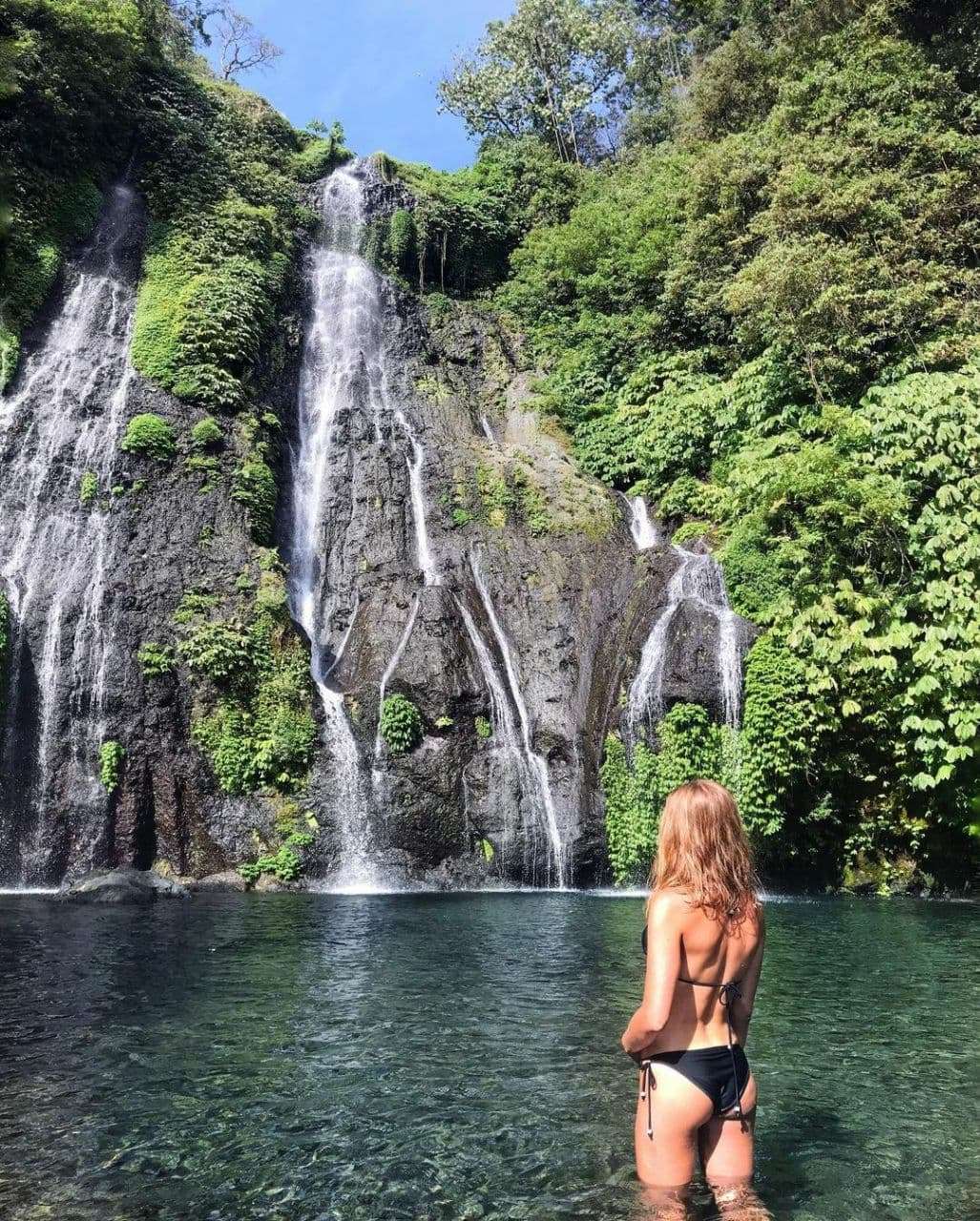 Bali Dolphin Tour
