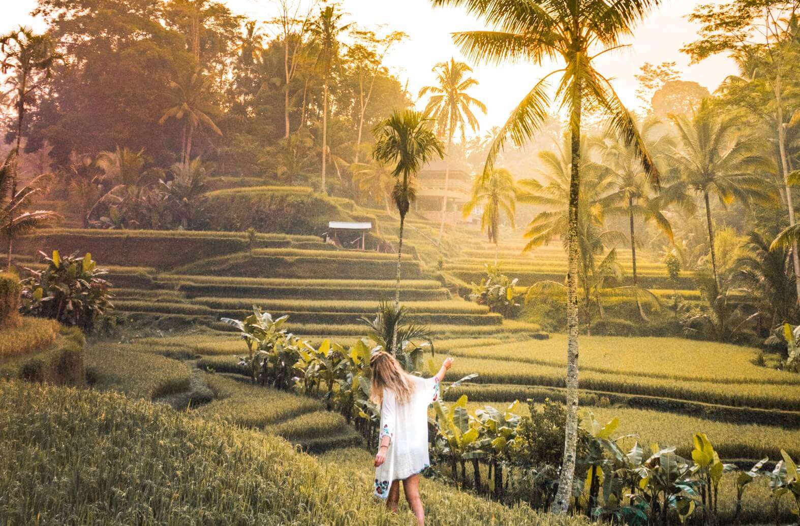 Paket Ubud Tour Bali