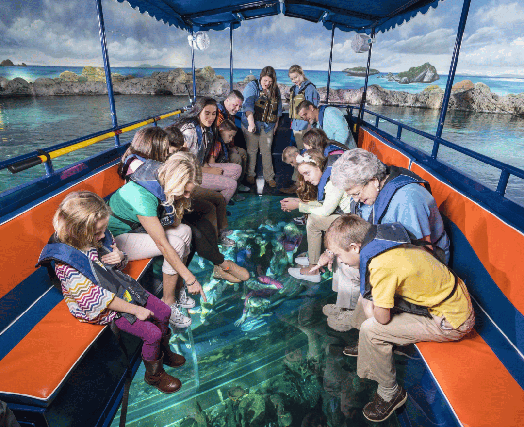 Bali Water Sport and Ubud Tour