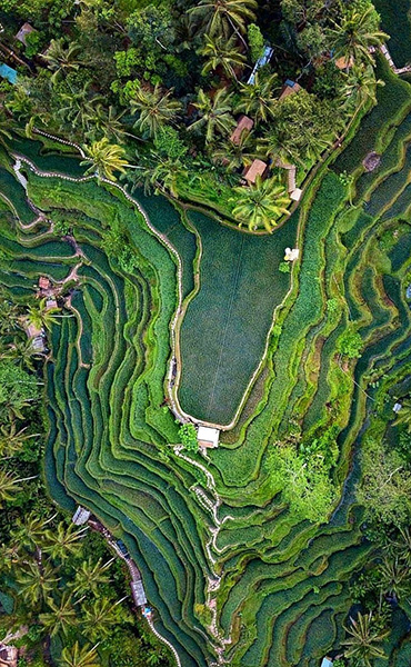 Activity Packages + Tour