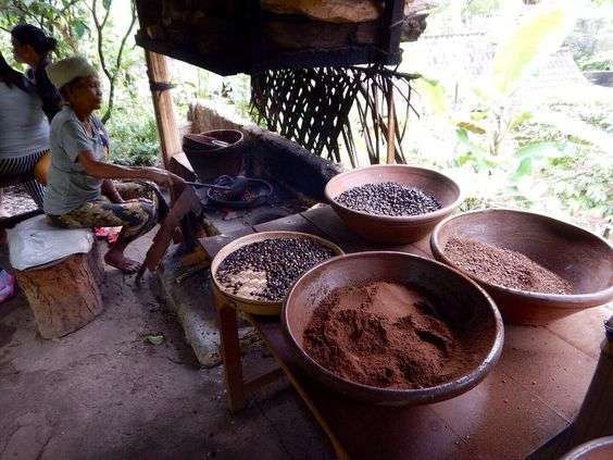 Bali Jatiluwih and Tanah Lot Sunset Tour
