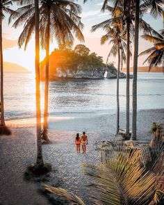 1D1N Trip + Snorkeling