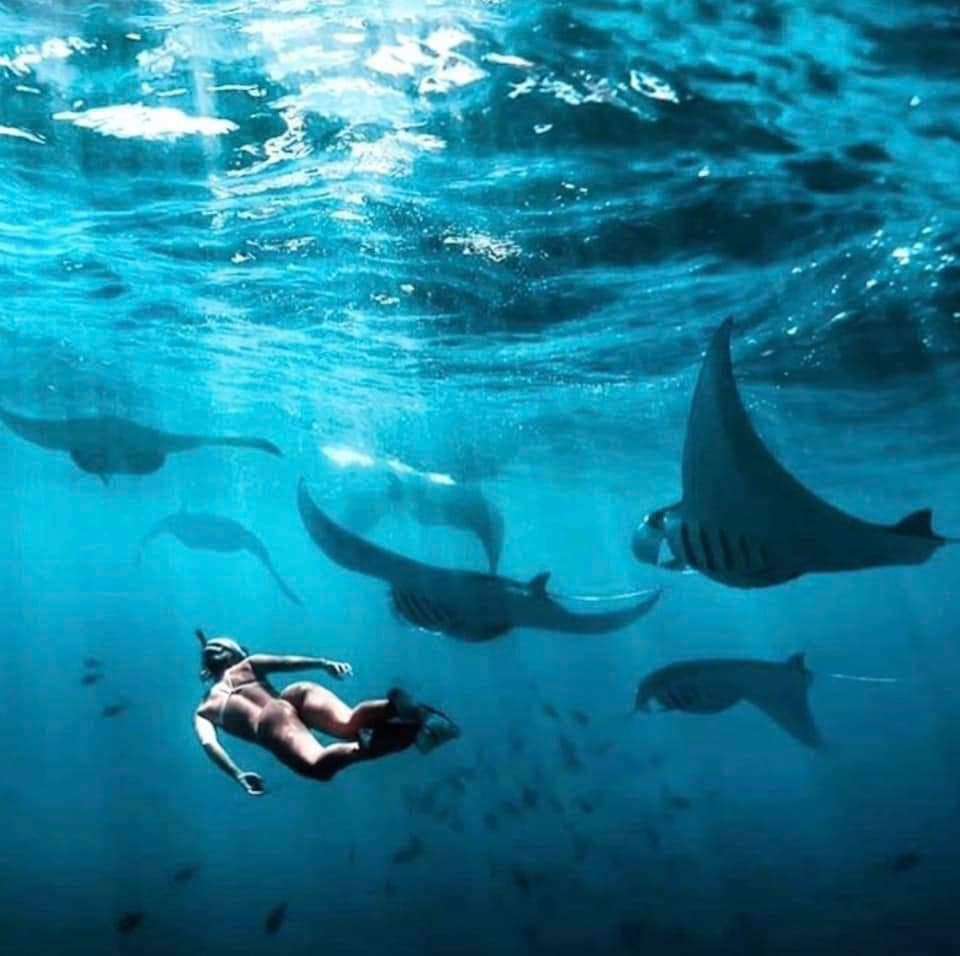 1D1N Trip + Snorkeling