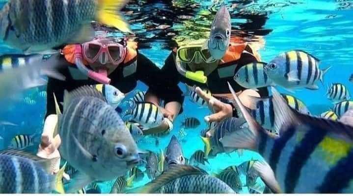One Day Trip Snorkeling