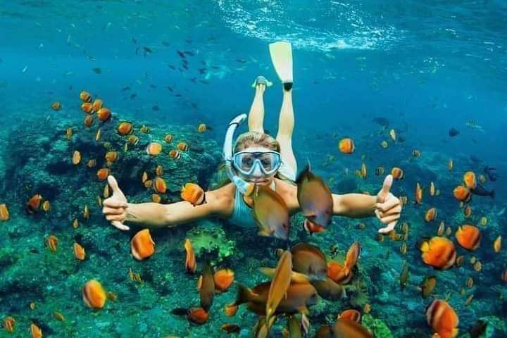 2D1N Trip + Snorkeling