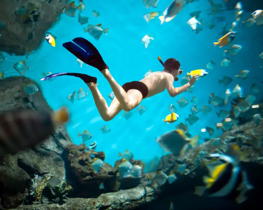 3D2N Trip + Snorkeling