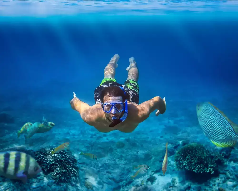 1D1N Trip + Snorkeling