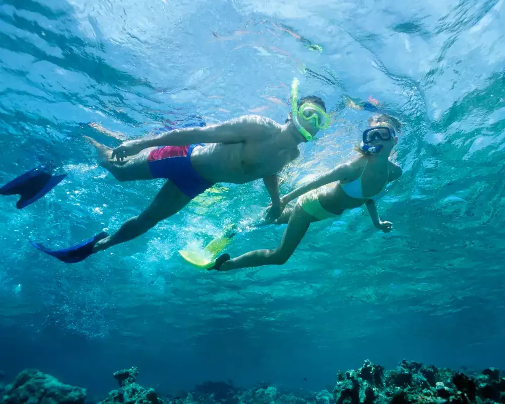 One Day Trip Snorkeling