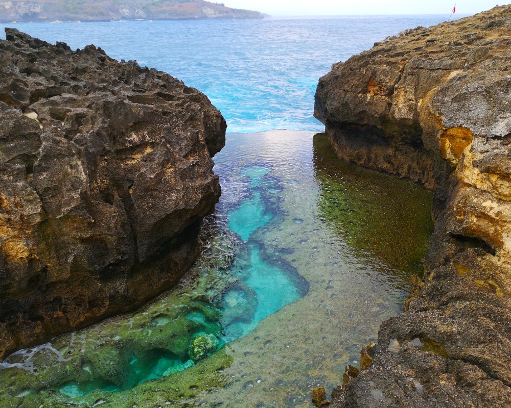 One Day Trip Snorkeling3