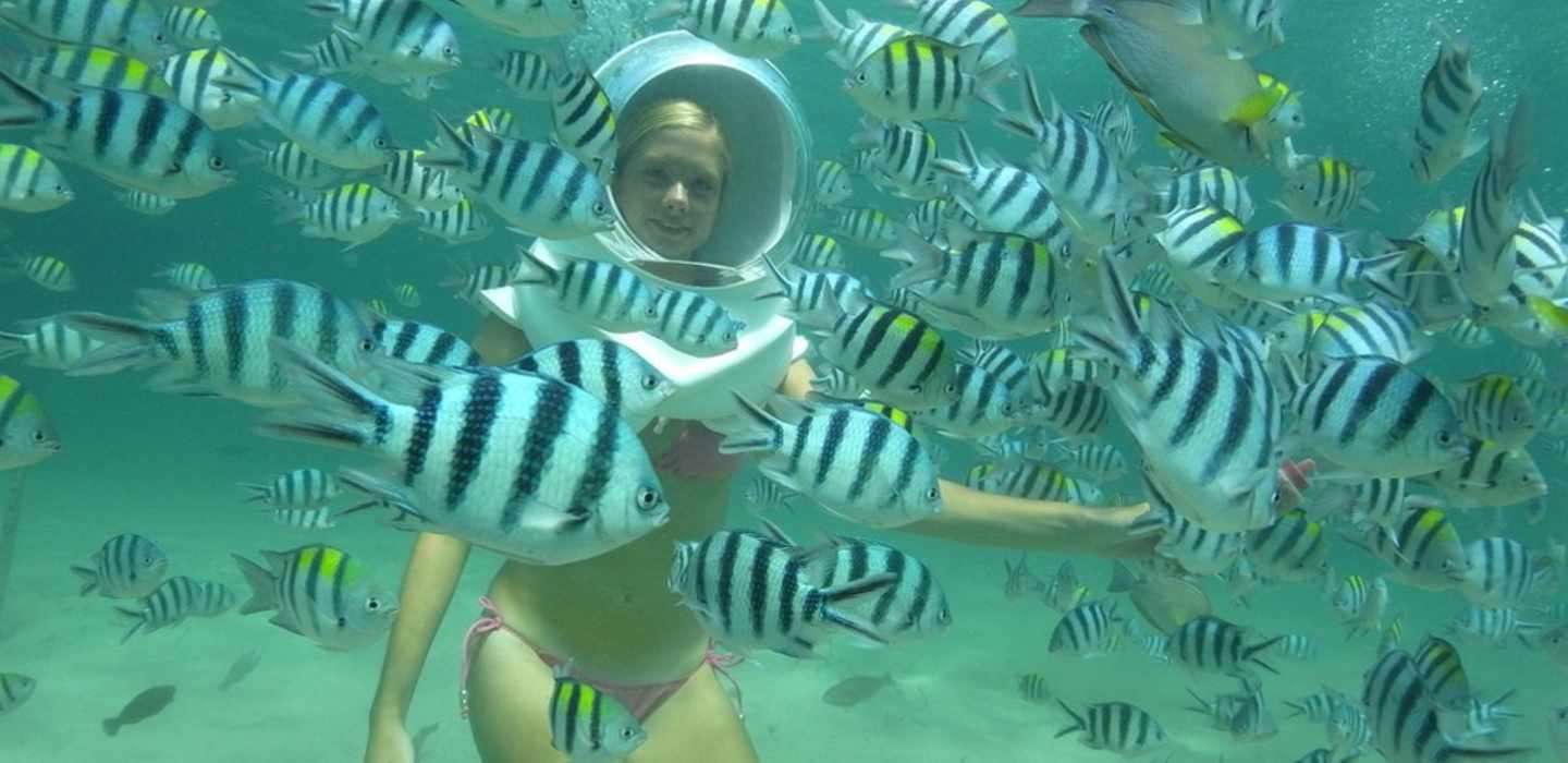 Bali Sea Walker Tour1