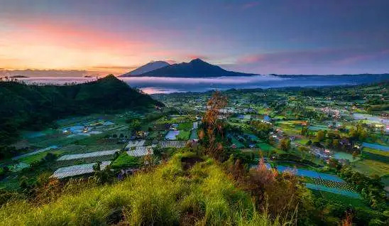 10 Coffee Shop Aesthetic Diatas Awan Kintamani