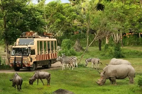 Bali Safari & Marine Park