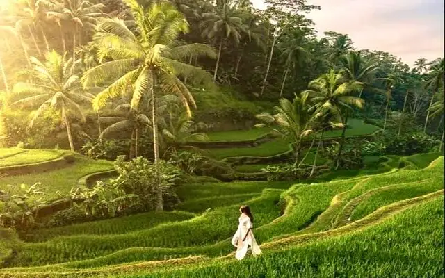 16 Museum Terkenal Di Bali : Tour Museum Bali, Lokasi, Tiket & Transportasi.