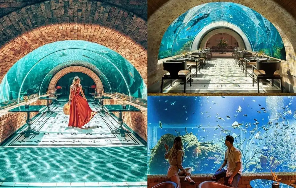 Koral Restaurant : Sensasi Bersantap Di Restaurant yang Aesthetic dan Hits, Pengalaman Bersantap Akuatik Di Bali