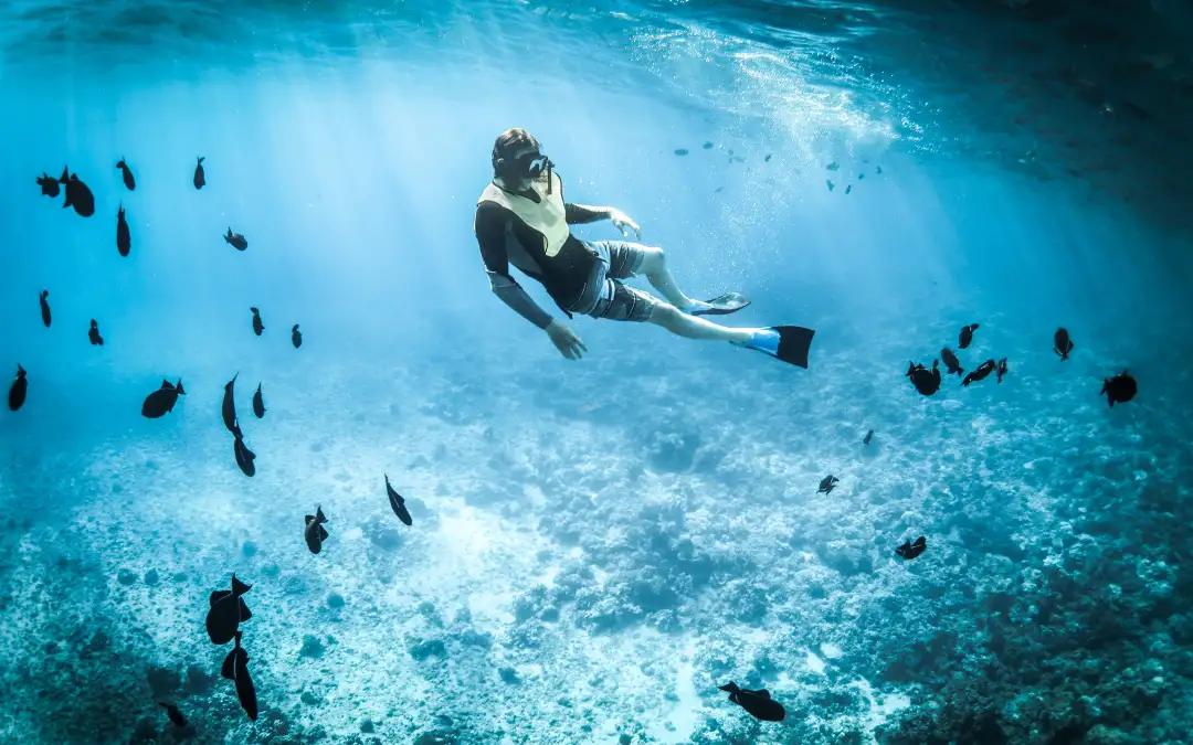 Voyage Ouest + Snorkeling