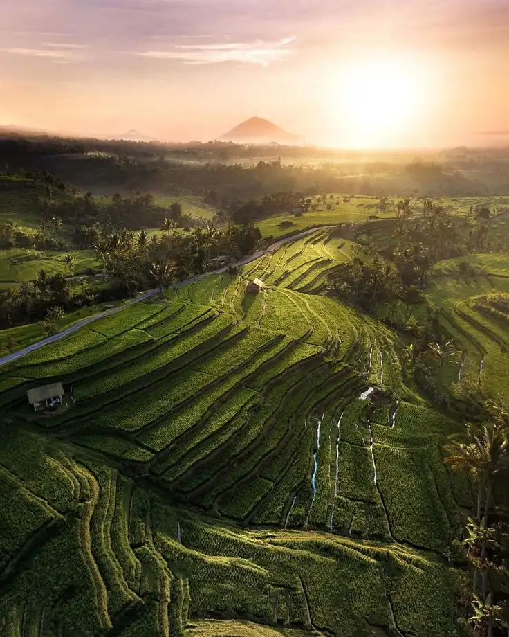 Ubud Bali Tour