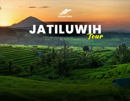 Jatiluwih Rice Terrace Tour