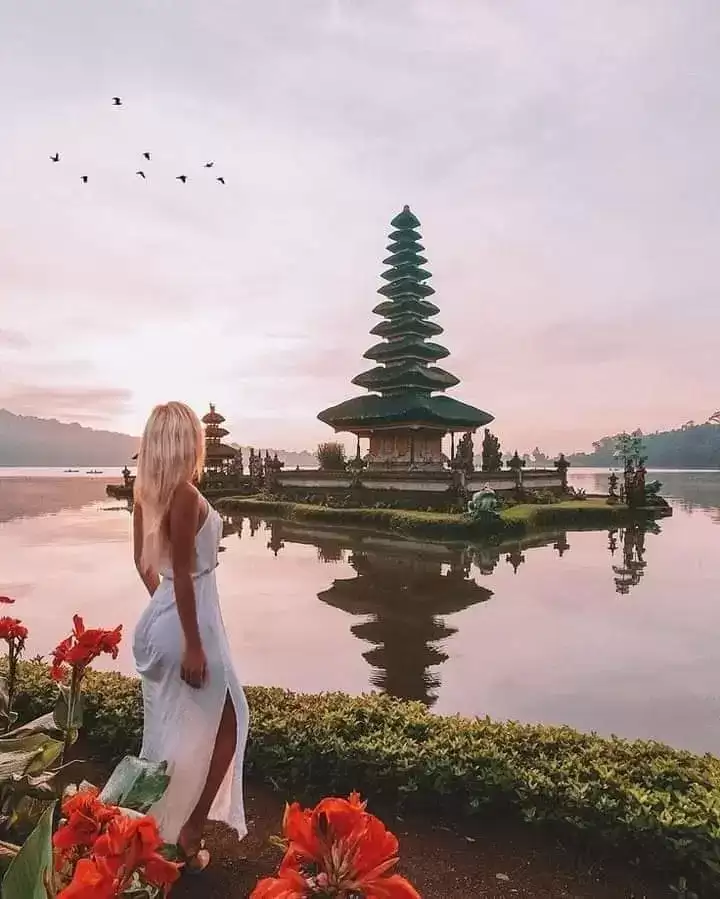 Dolphin + Floating Temple Tour18
