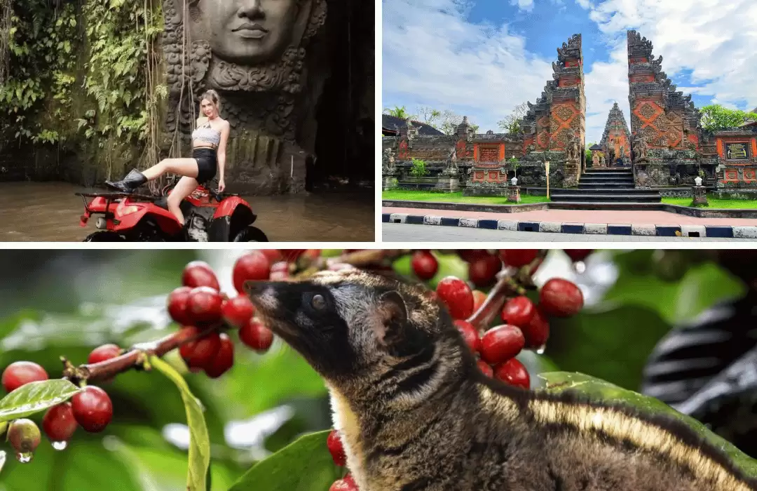 ATV Quad Bike + Ancient Temple + Coffee Plantation
