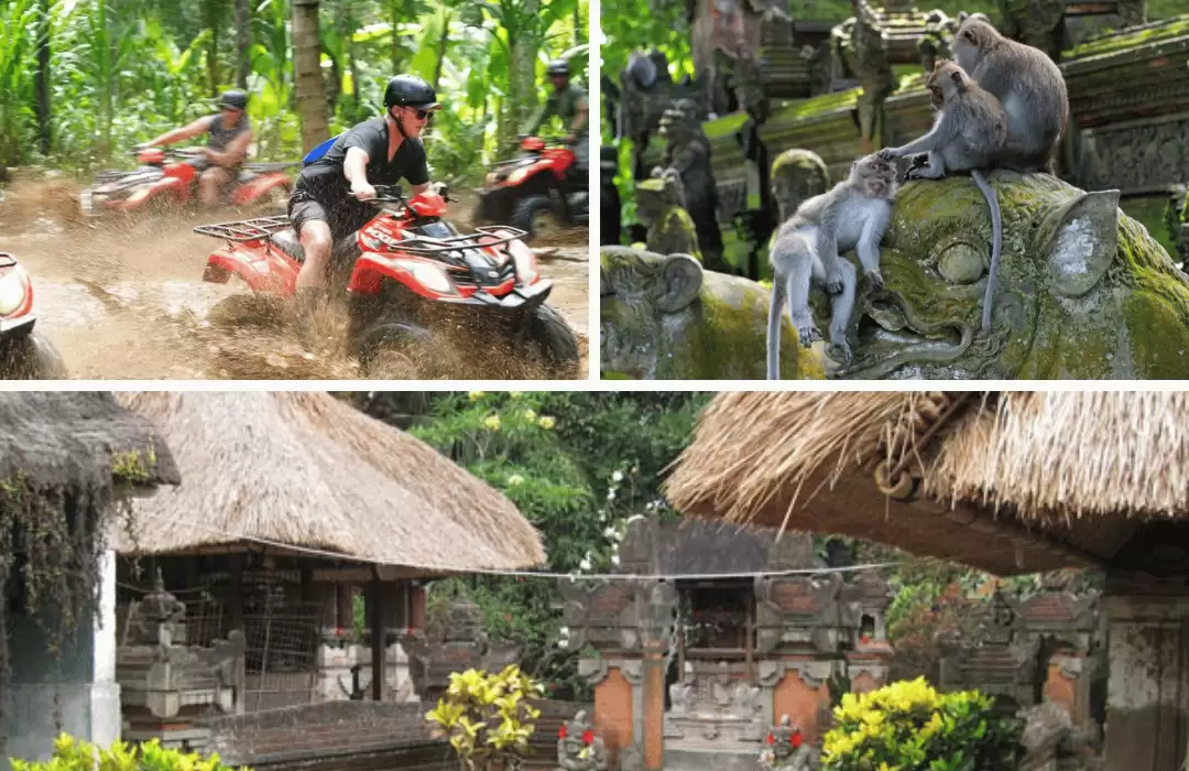 ATV Quad Bike + Monkey Forest + Bali House Compound