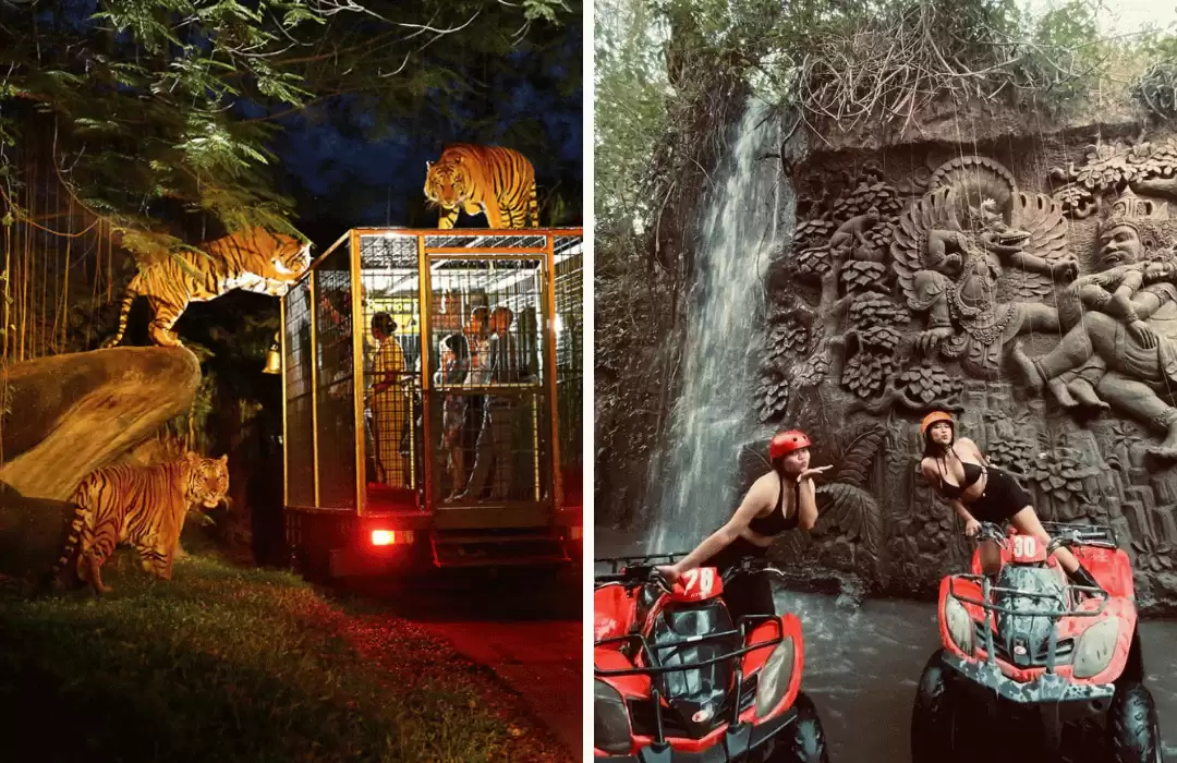ATV Quad Bike Bali + Bali Night Safari