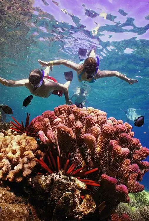 Blue Lagoon Snorkeling