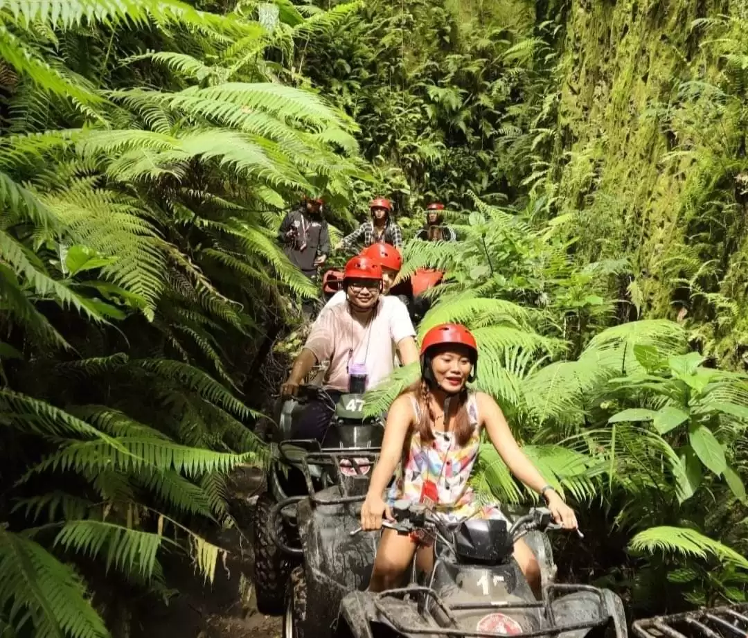ATV Quad Bike 