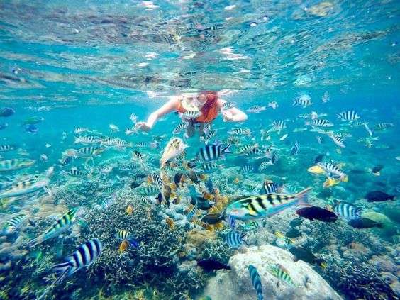 Sea Walker