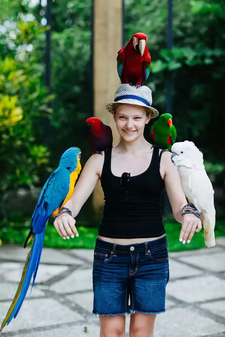 ATV Quad Bike + Bali Bird Park