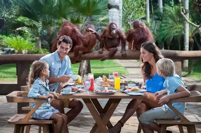 ATV Quad Bike Bali + Breakfast Orang Utan + Bali Zoo