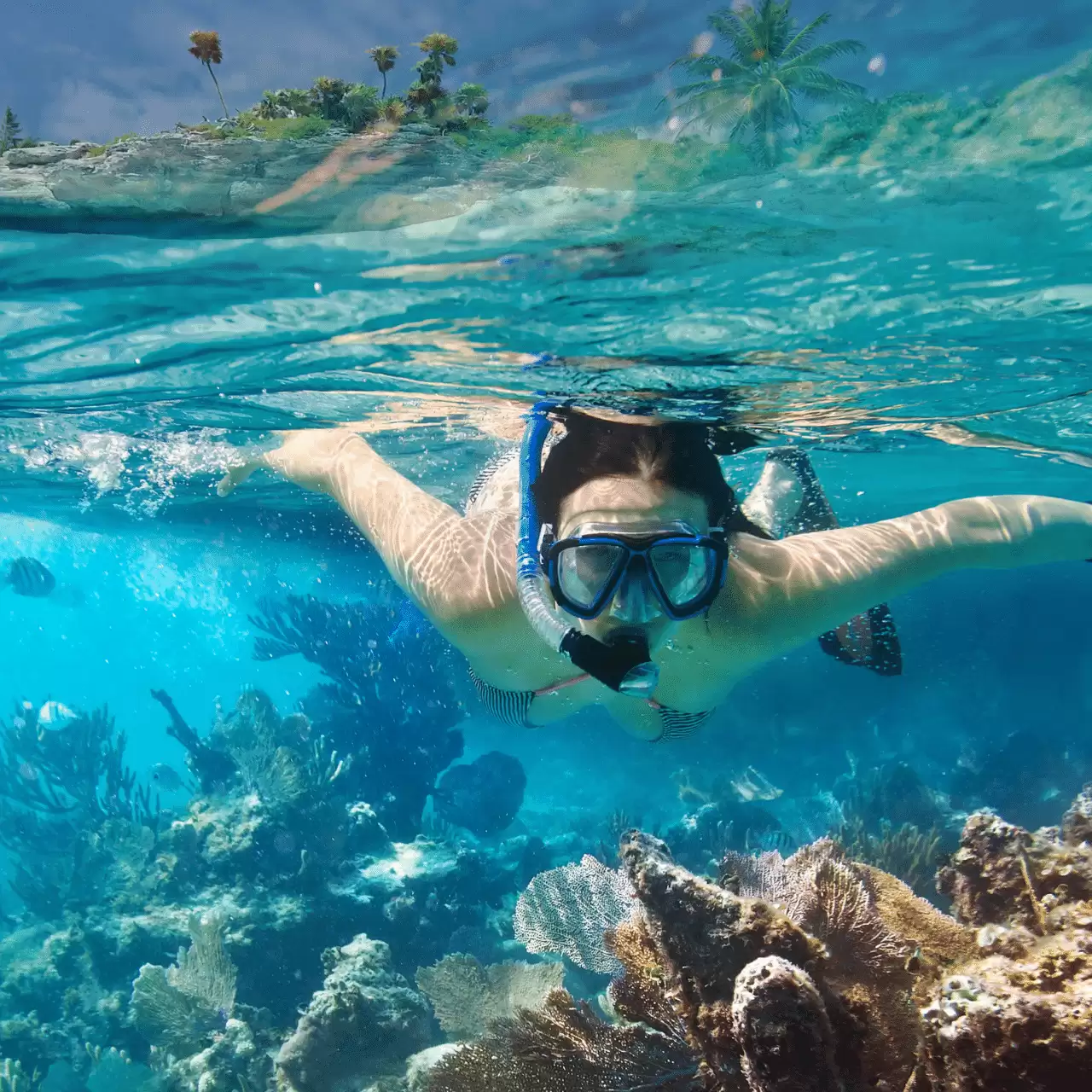 Diving + Fly Fish + Jetski