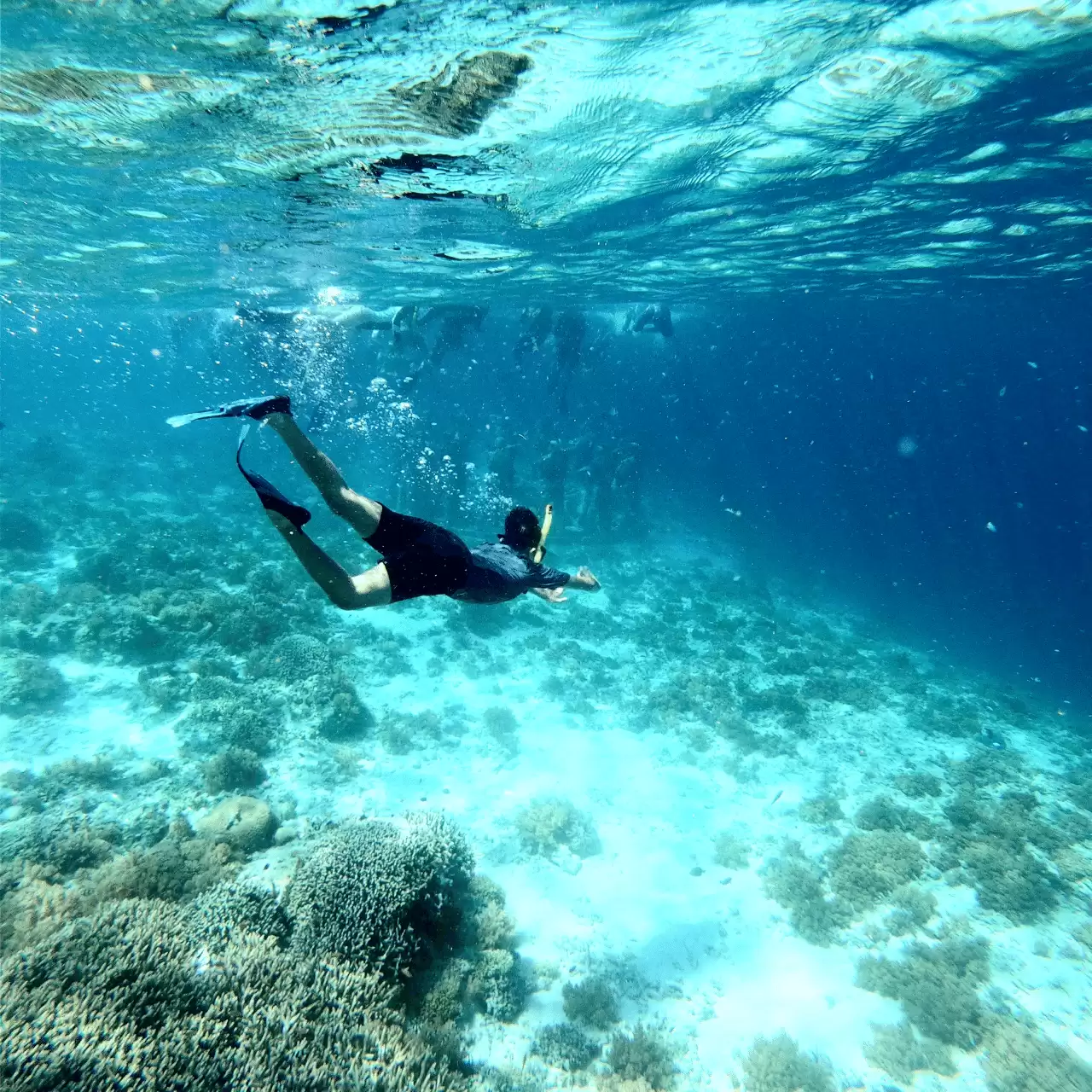 Diving + Fly Fish + Jetski