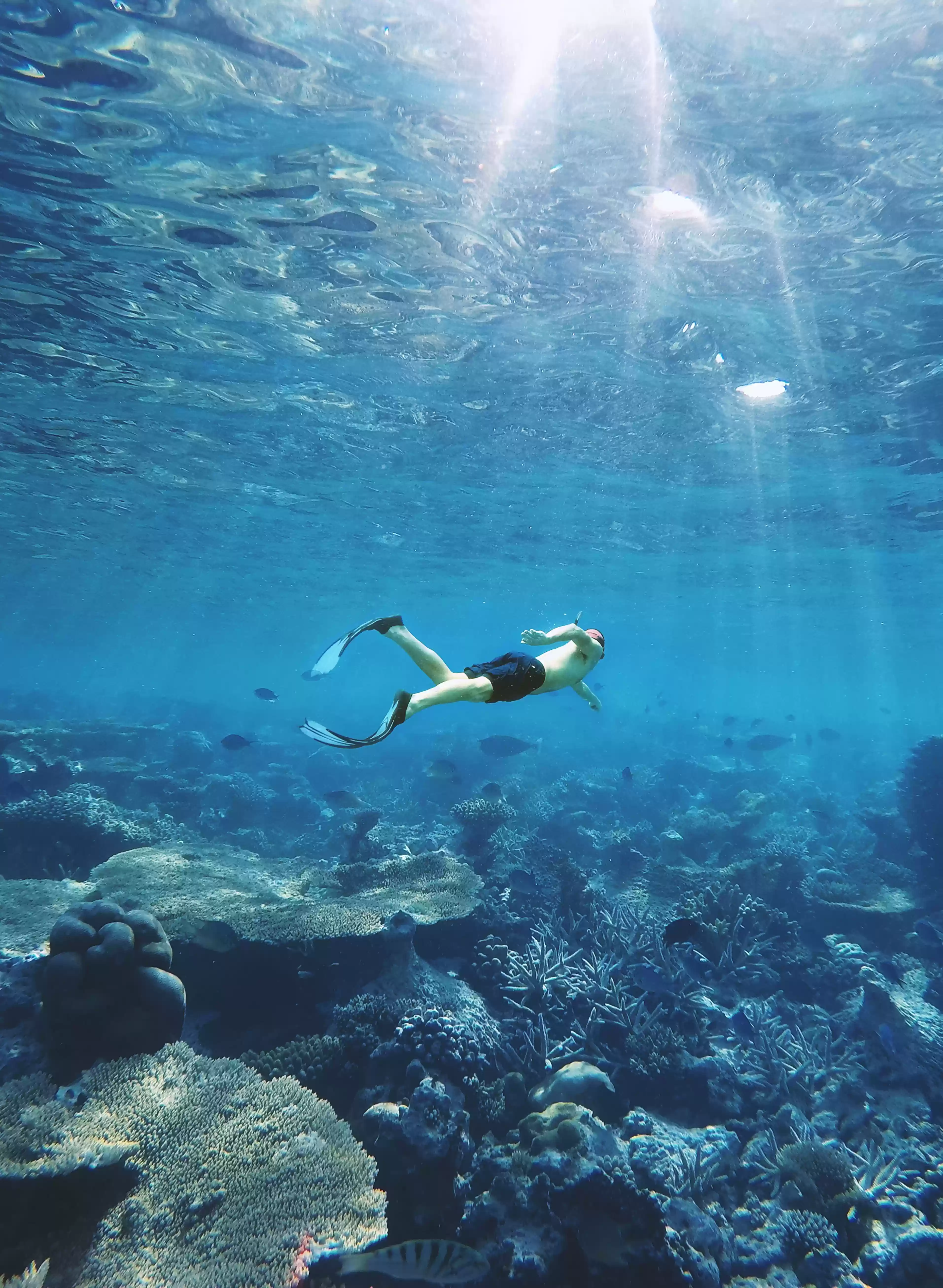 ATV Quad Bike + Blue Lagoon Snorkeling