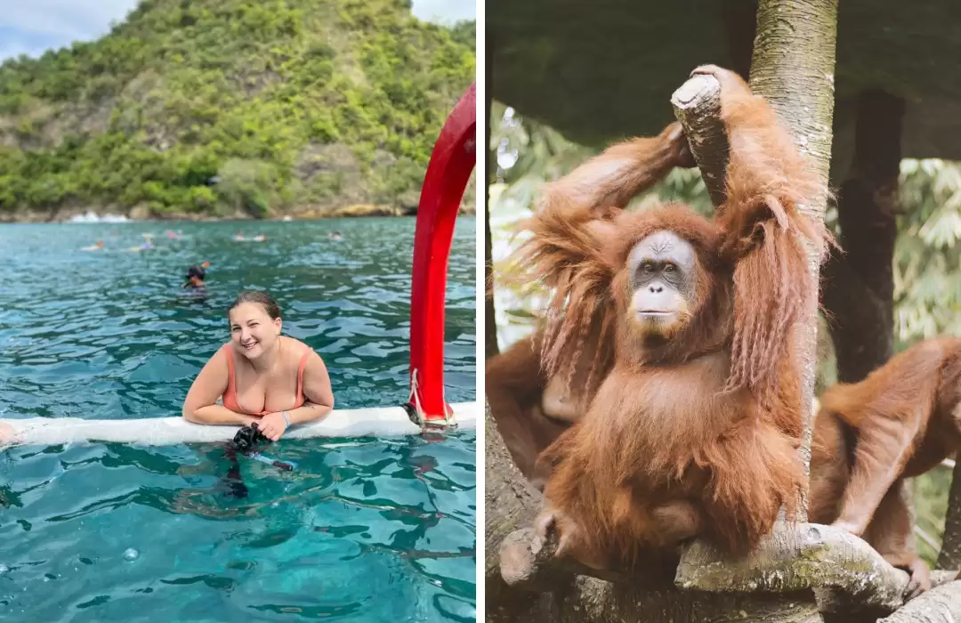 Blue Lagoon Snorkeling + Hidden Zoo Activities