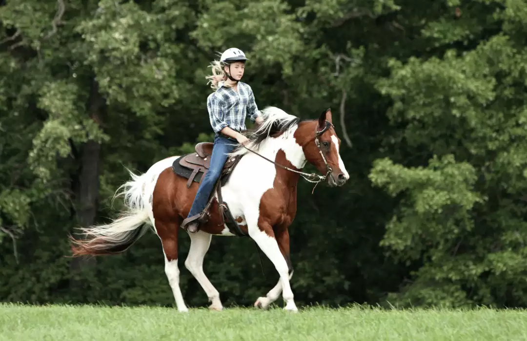 Bali Horse Riding Tour