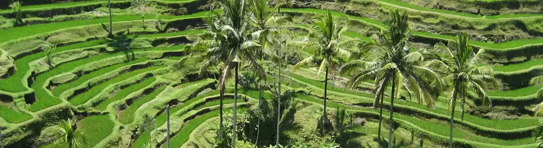 7 Days 6 Nights Village Adventures