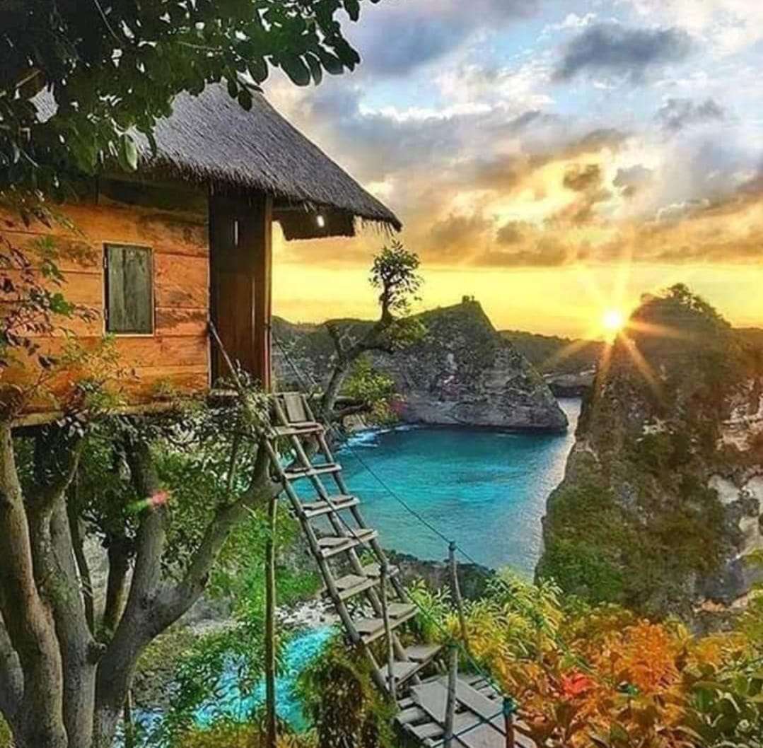 Tree House Mollenteng 