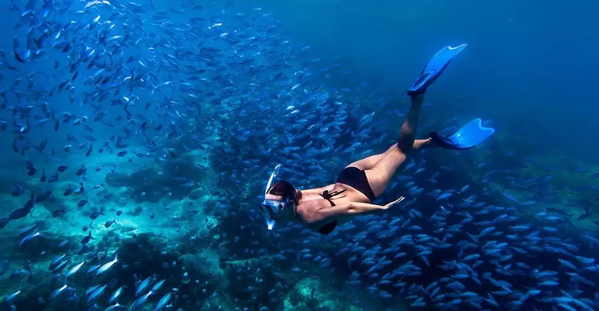 Bali Blue Lagoon Snorkeling With All Inclusive