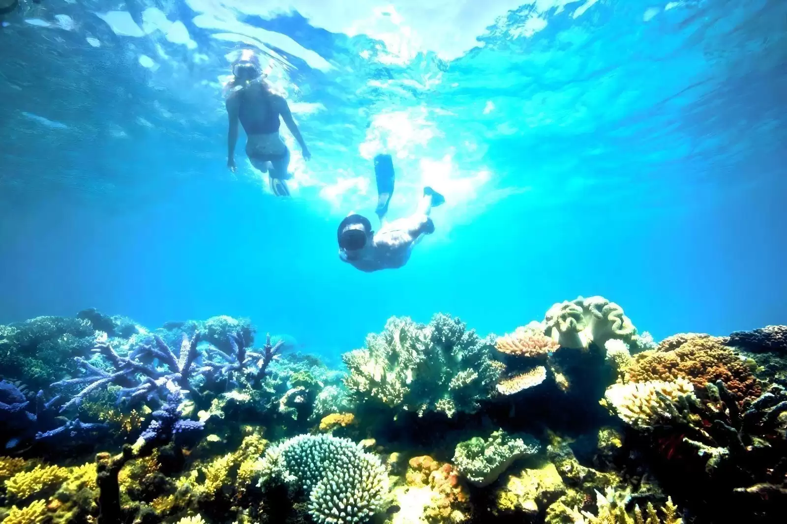 Bali Blue Lagoon Snorkeling With All Inclusive