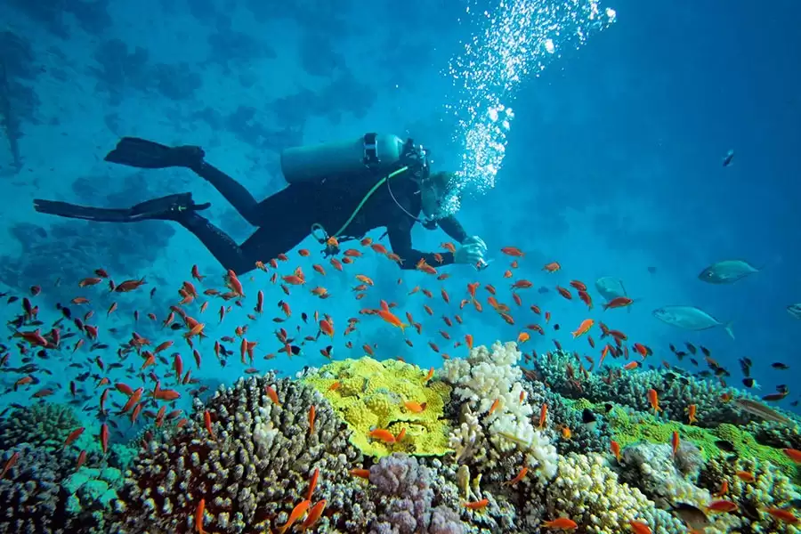Bali Blue Lagoon Snorkeling With All Inclusive